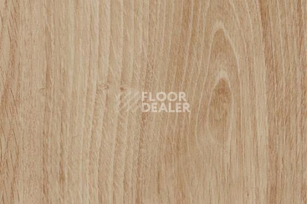 Виниловая плитка ПВХ FORBO Allura Decibel 8WAU03-3WAU03 honey authentic oak фото 1 | FLOORDEALER